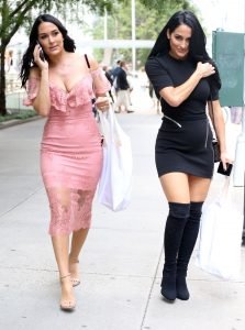 Brie Bella Nude Photos & Videos 2026 | #TheFappening