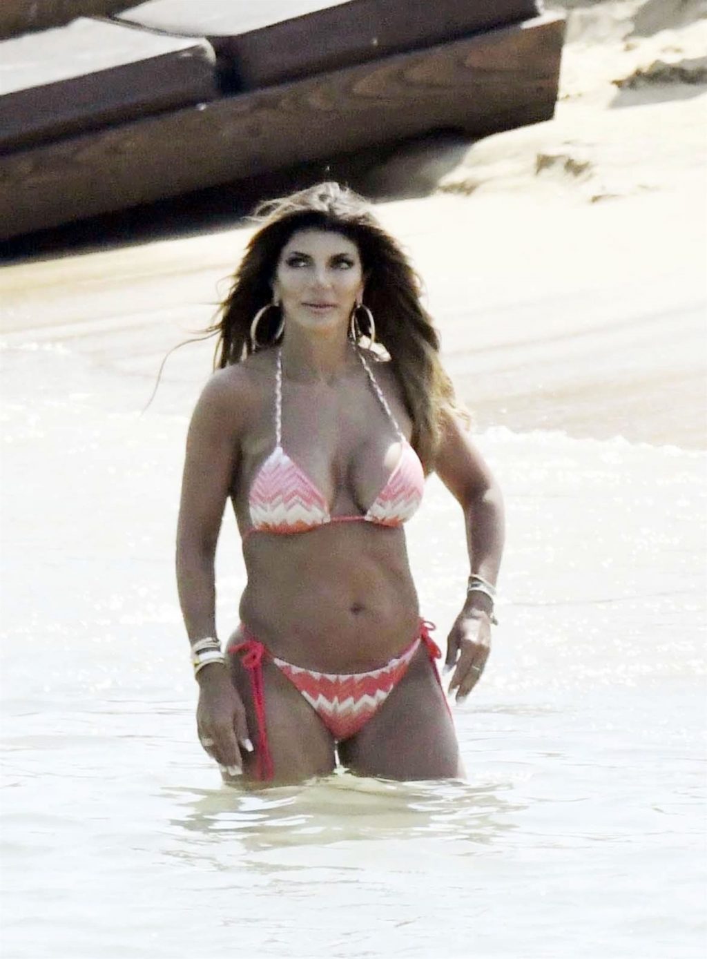 Teresa Giudice Sexy (70 Photos)