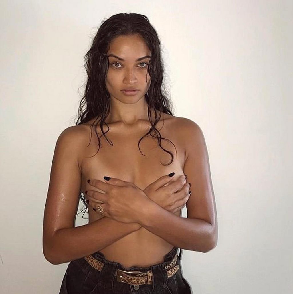 Shanina Shaik Nude &amp; Sexy Collection (100 Photos + Video)