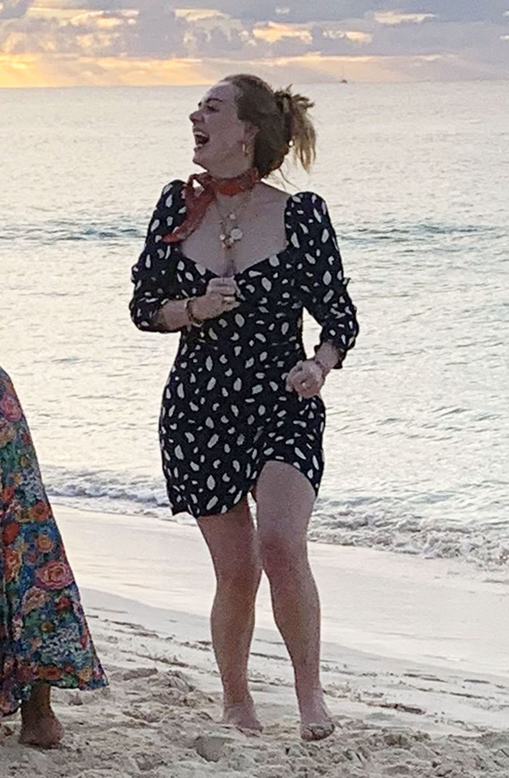 Adele Sexy (39 Photos)