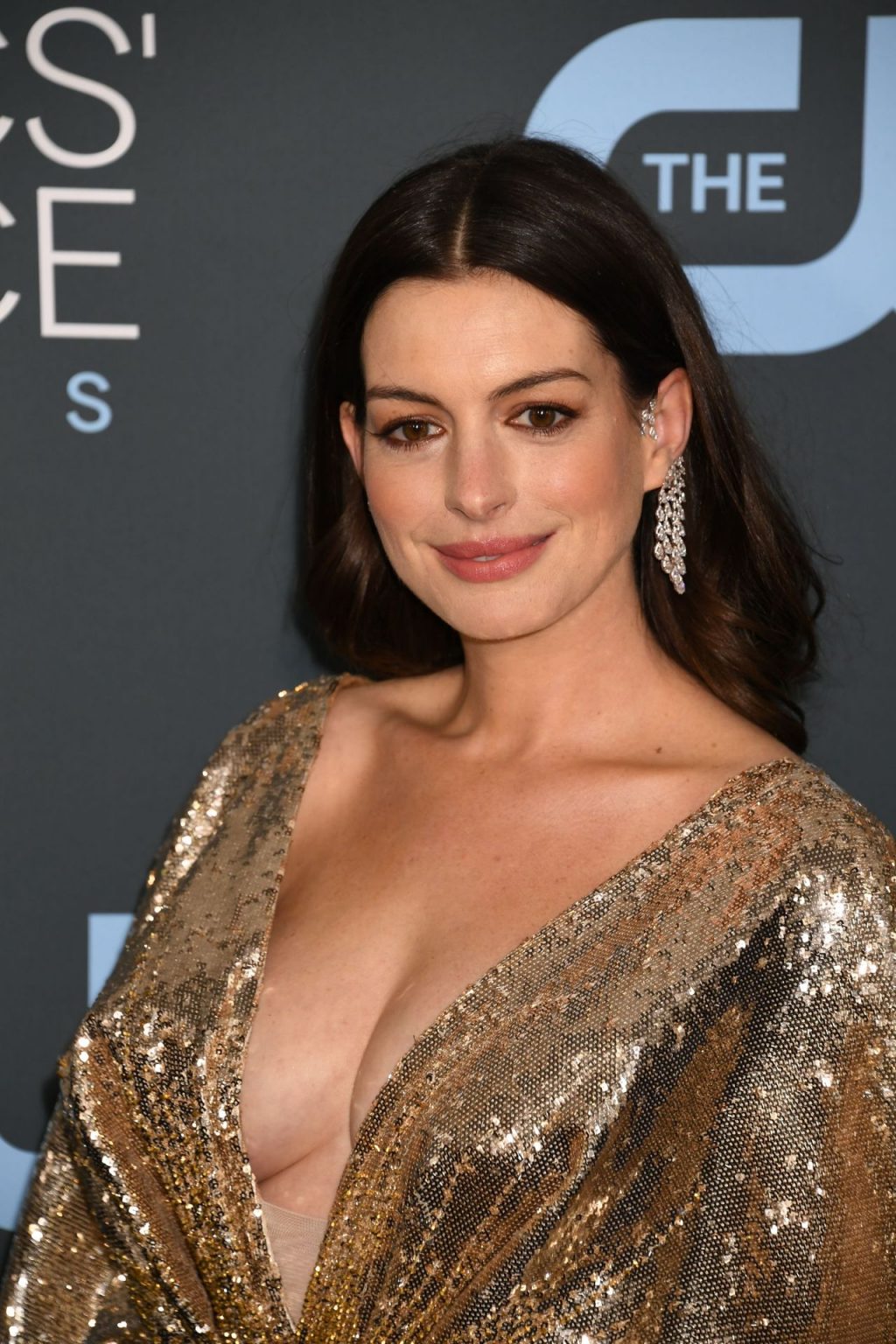 Anne Hathaway’s Tits (75 Photos)