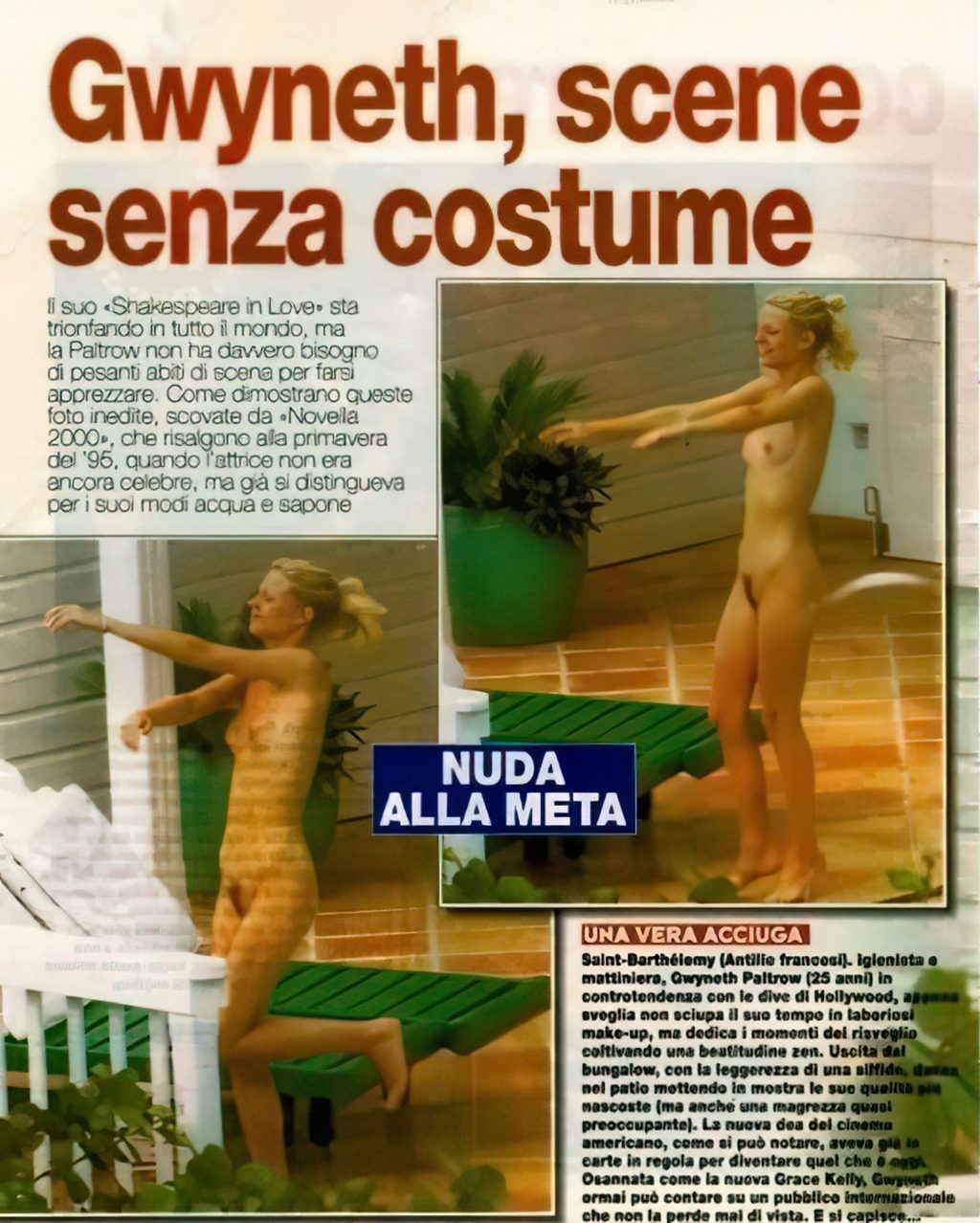 Gwyneth Paltrow Nude (20 Photos)