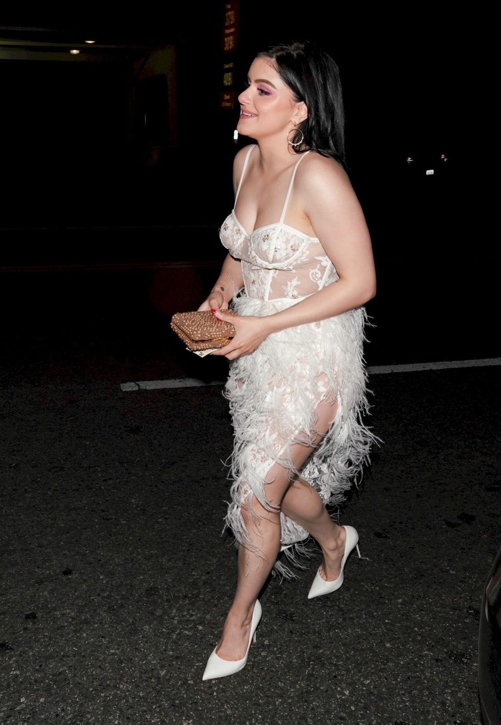 Ariel Winter Puts on a Very Sexy Display in a Sheer Dress (11 Photos)
