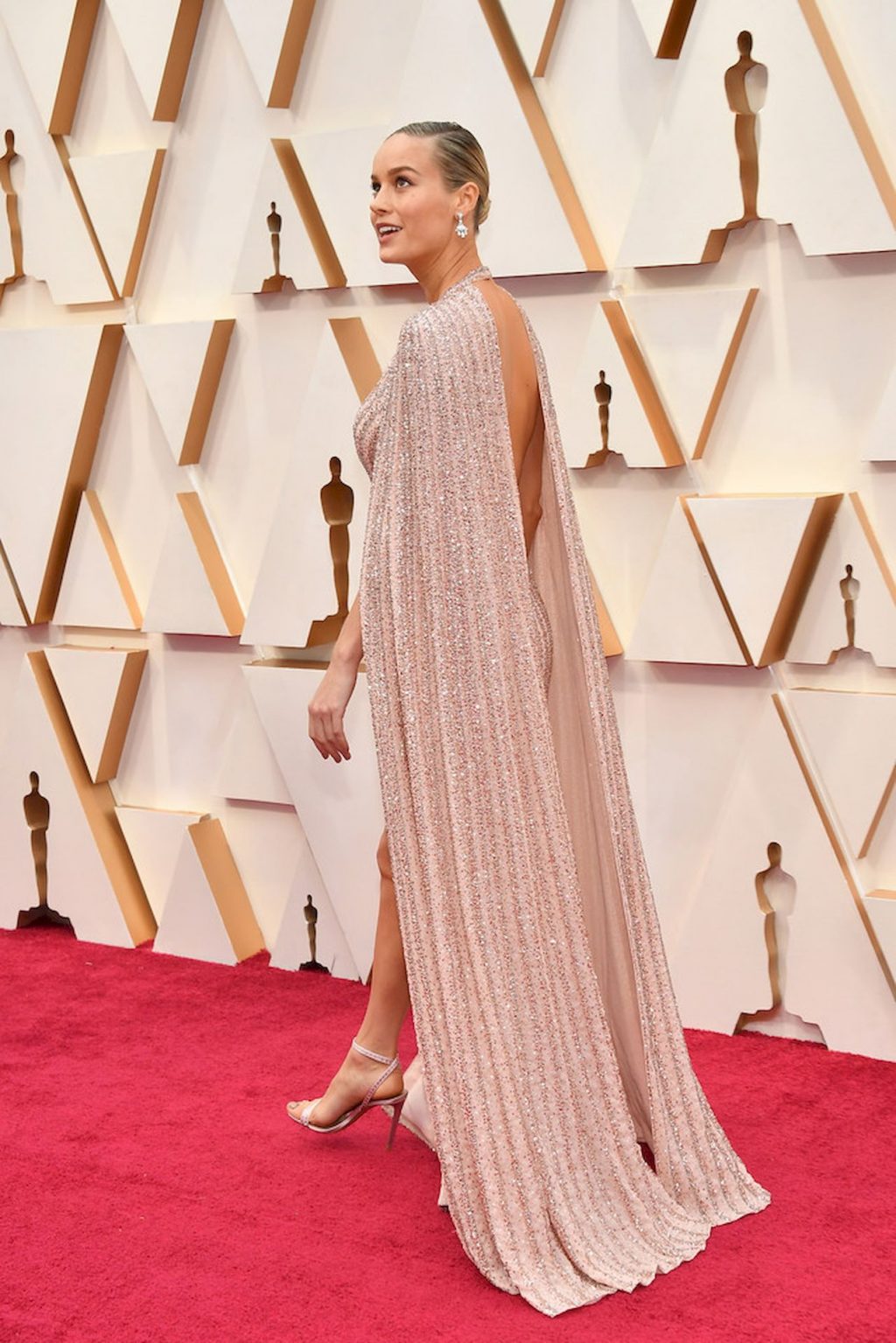 Brie Larson Shines at the 92nd Academy Awards (8 Photos)