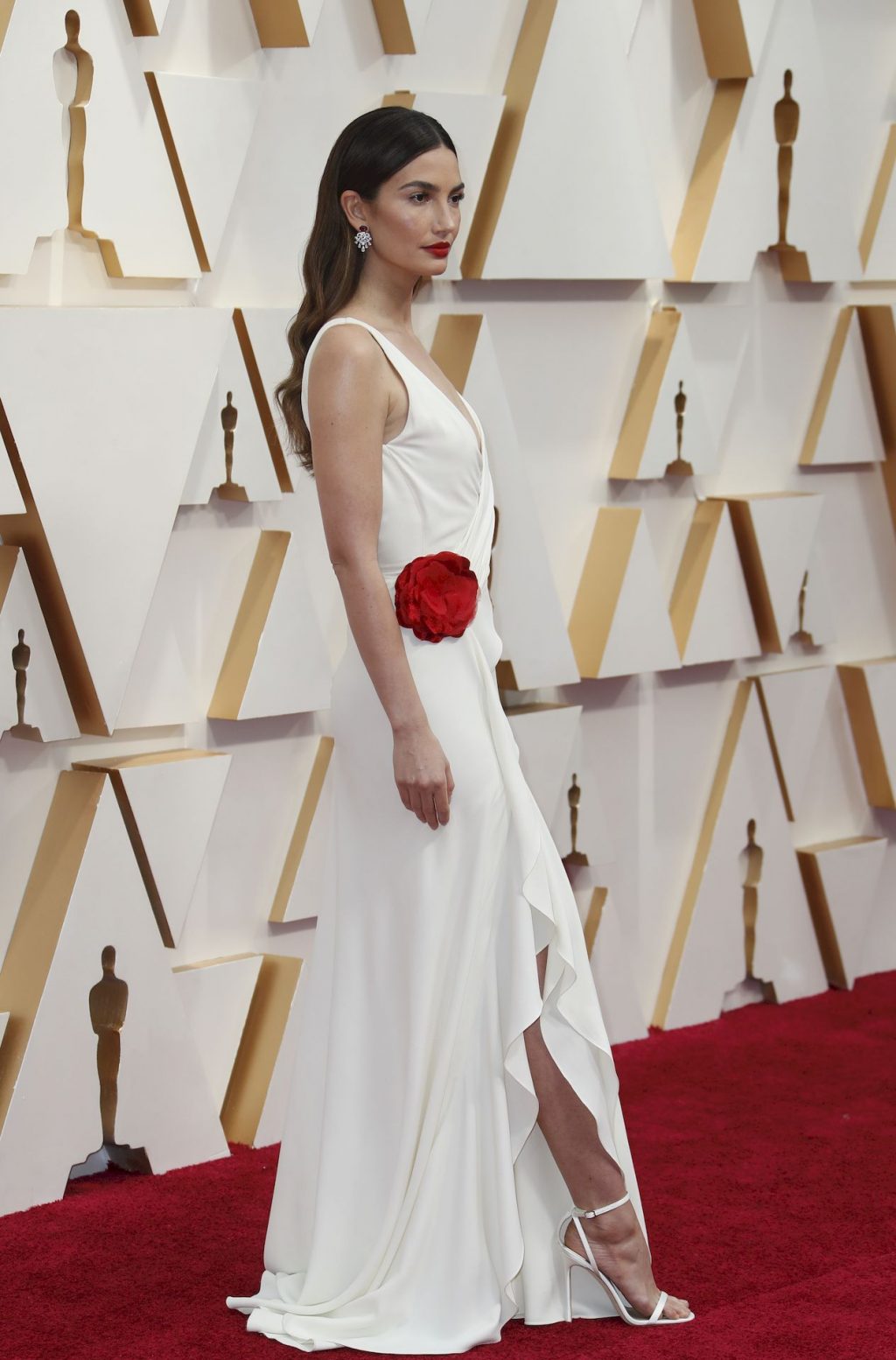 Lily Aldridge Arrives to the 92nd Academy Awards (26 Photos)