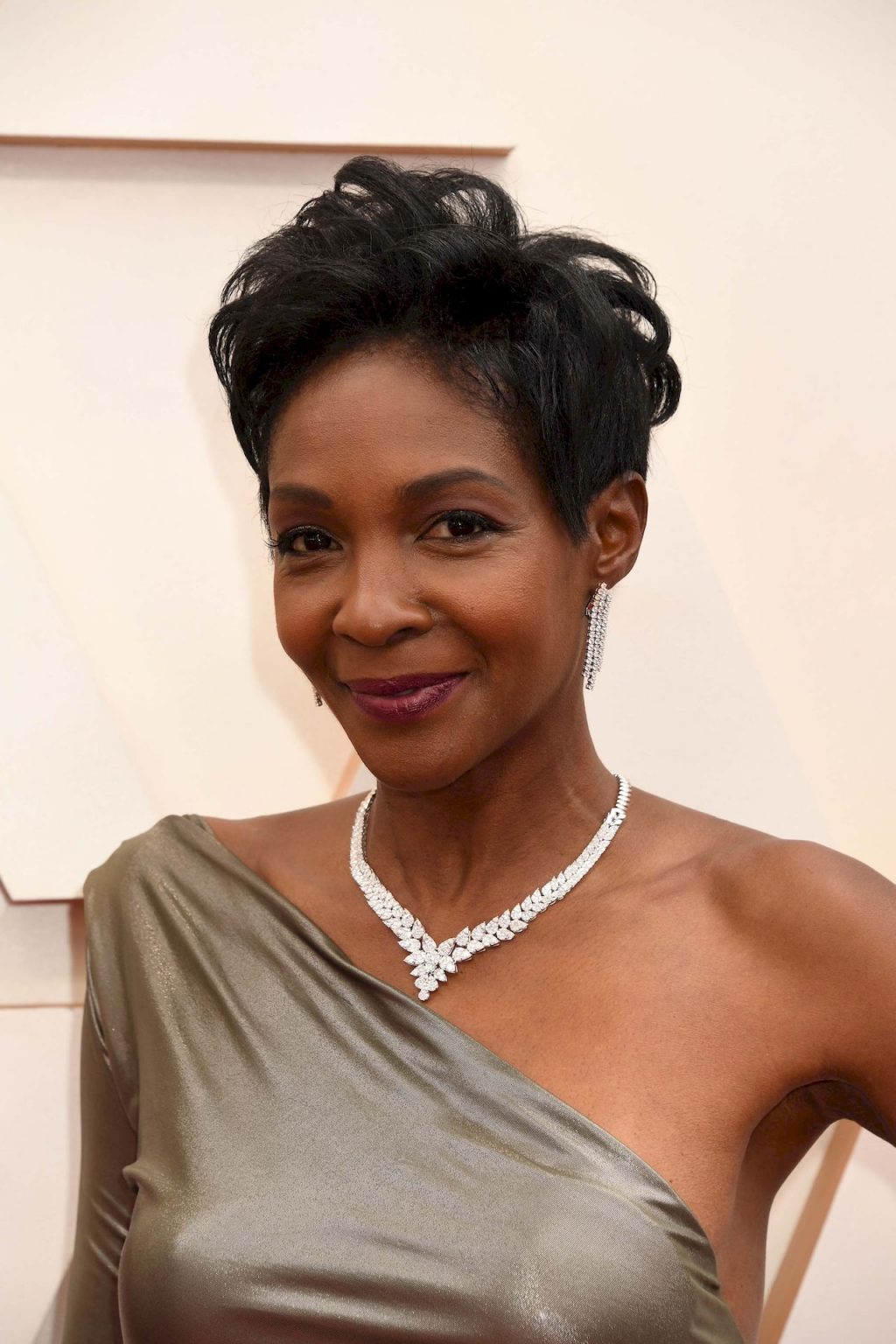 Roshumba Williams Shows Her Pokies at the 92nd Annual Academy Awards (7 Photos)