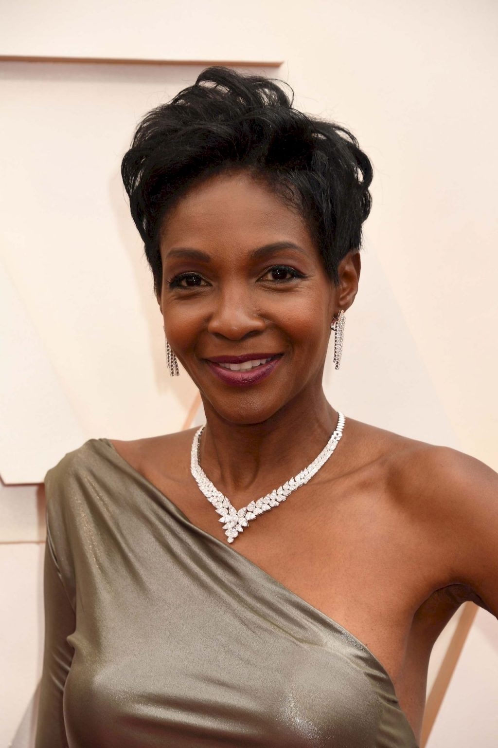 Roshumba Williams Shows Her Pokies at the 92nd Annual Academy Awards (7 Photos)