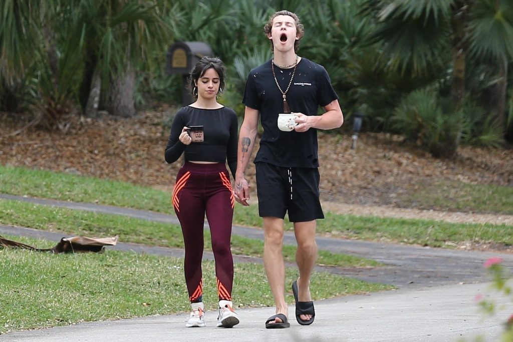 Camila Cabello &amp; Shawn Mendes Hold Hands During a Morning Walk in Miami (32 Photos)