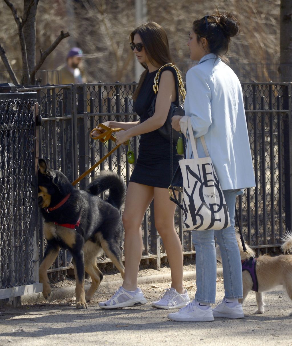 Emily Ratajkowski Takes Her Dog to a Dog Park in New York City (29 Photos)