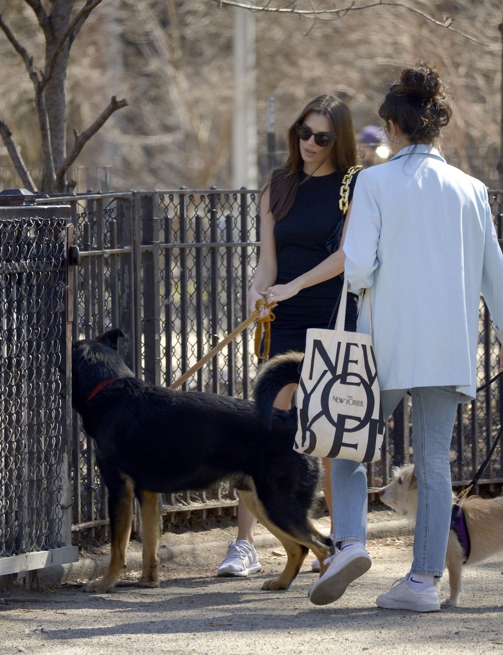 Emily Ratajkowski Takes Her Dog to a Dog Park in New York City (29 Photos)
