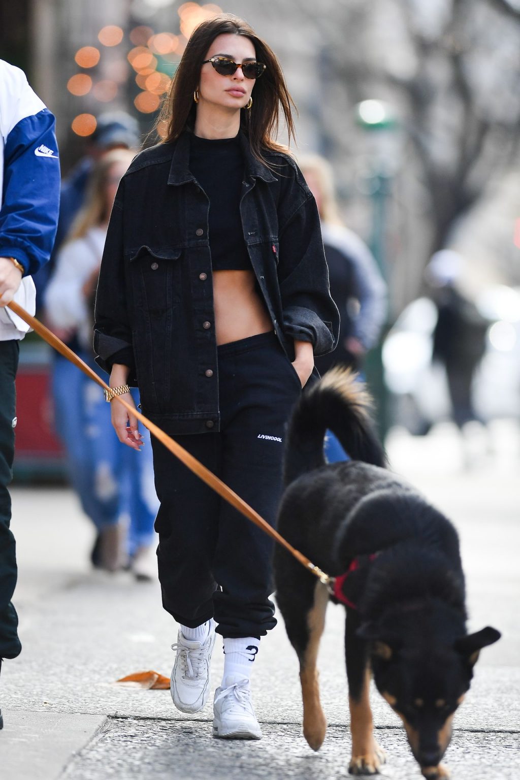 Emily Ratajkowski Walks With Her Dog Colombo in NYC (38 Photos)