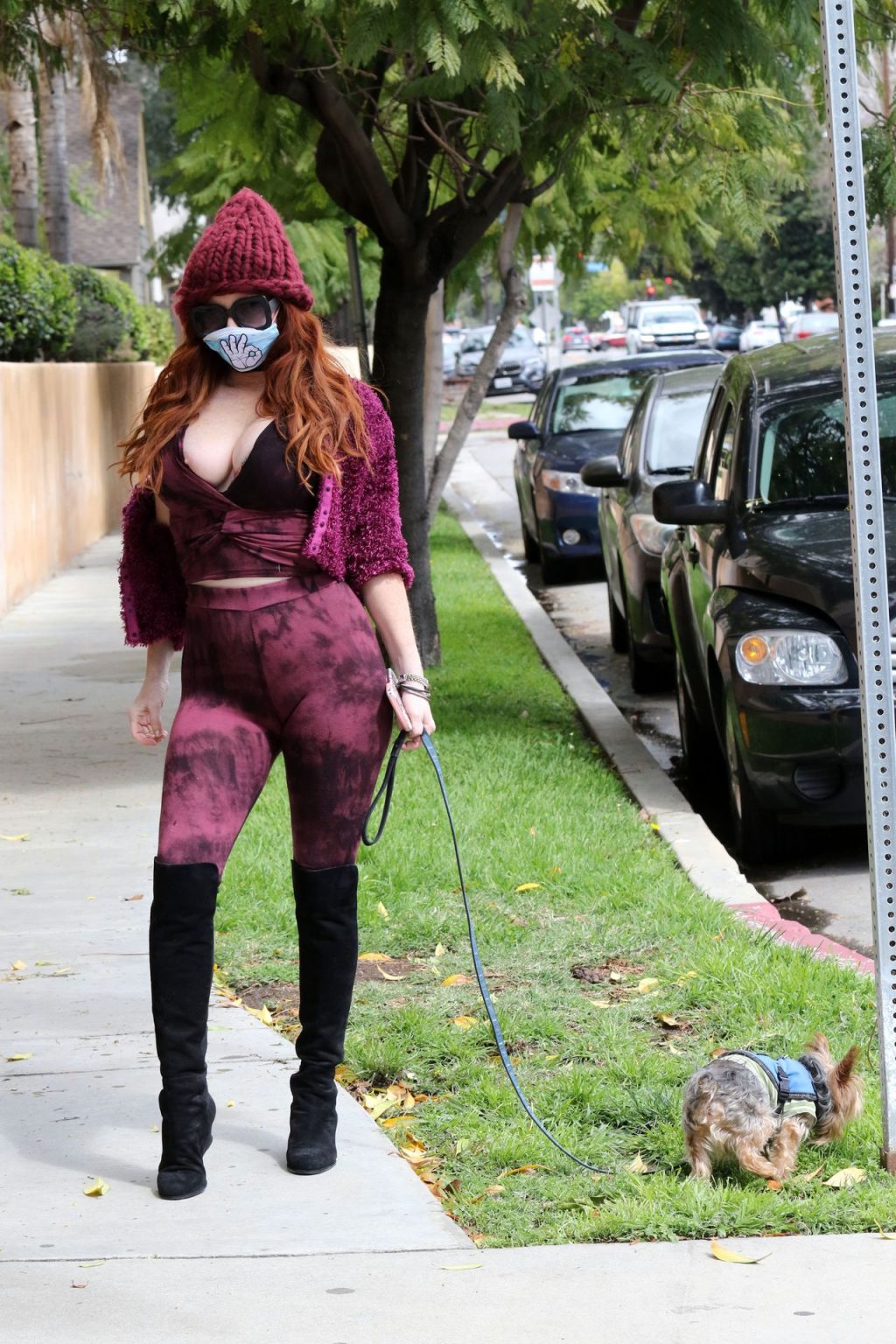 Phoebe Price Walks Her Dog While Nipple Out (19 Photos)