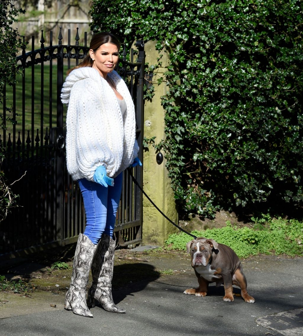 Tanya Bardsley Is walking with her Dog in Mask and Gloves in Cheshire (11 Photos)