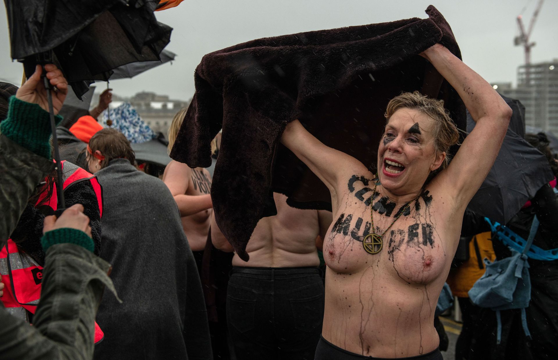 протест голых женщинах фото 14