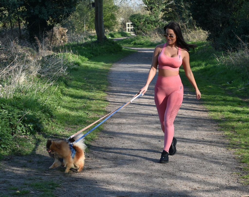 Busty Yazmin Oukhellou is Seen Walking Her Dogs in Harlow (12 Photos)