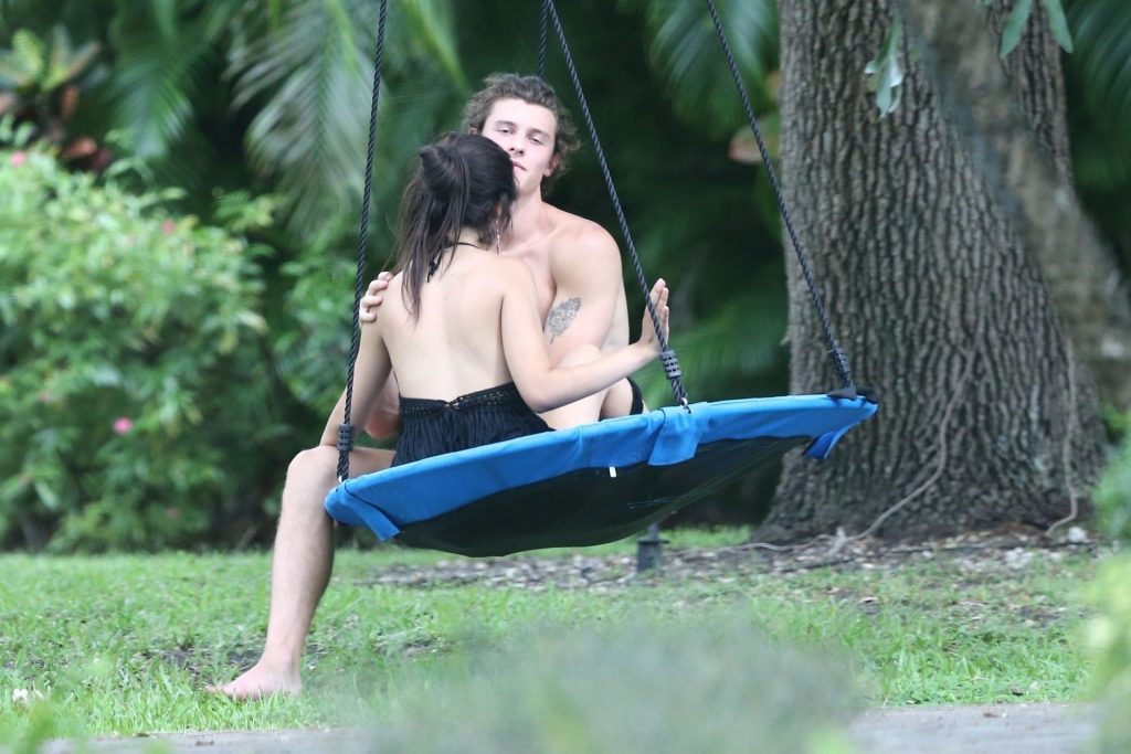 Shawn Mendes &amp; Camila Cabello Are Having a Romantic Time on a Swing (26 Photos)