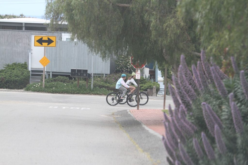 Dakota Johnson &amp; Chris Martin Take His Kids Out for a Bike Ride in Malibu (58 Photos)