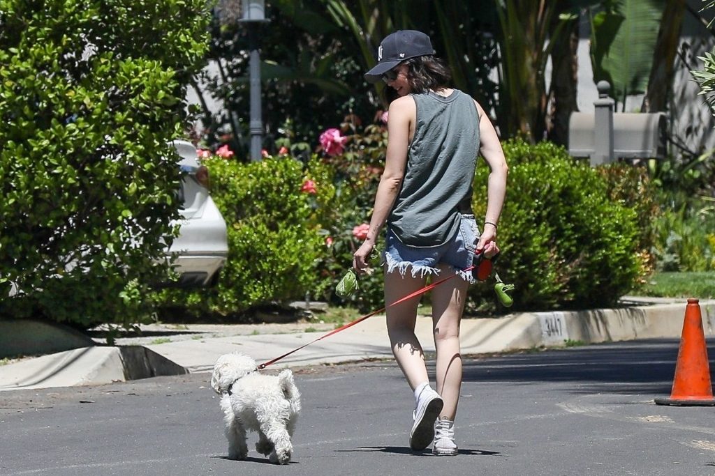 Lucy Hale Cuts a Low Key Figure as She Stepped Out For a Solo Dog Walk in Beverly Hills (16 Photos)