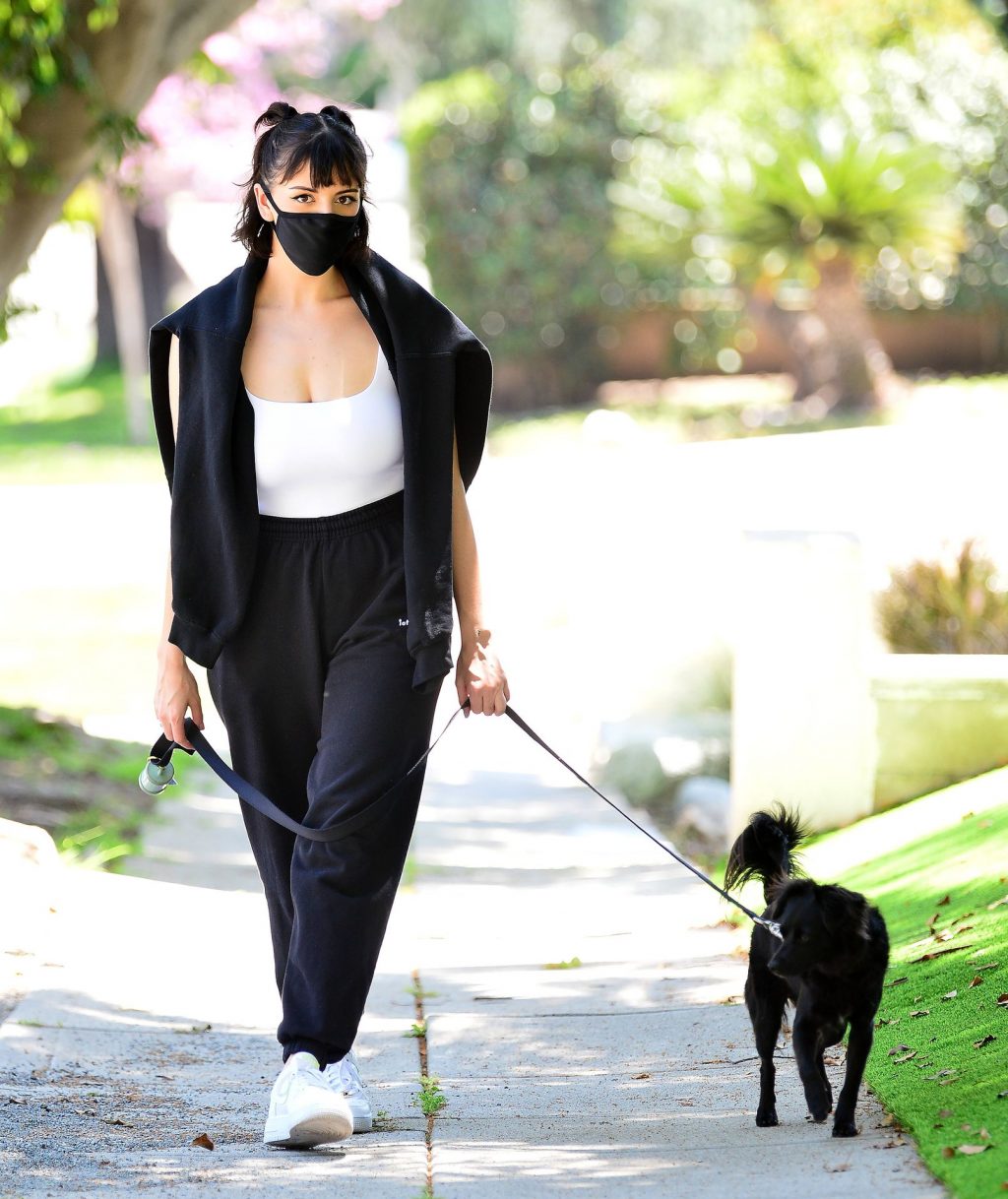 Rebecca Black Covers Up with a Face Mask Walking Her Puppy in Orange County (10 Photos)