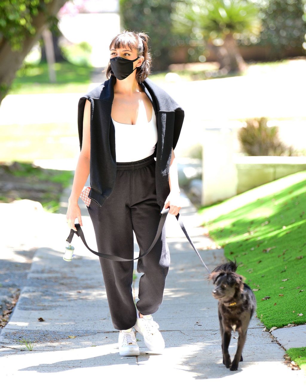 Rebecca Black Covers Up with a Face Mask Walking Her Puppy in Orange County (10 Photos)