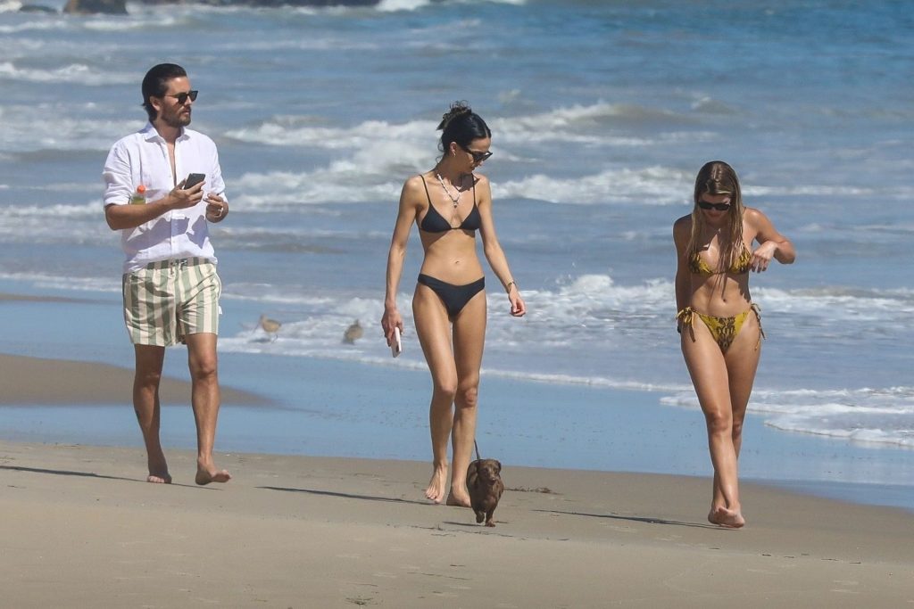 Sofia Richie Shows Off Her Sexy Body in a Bikini on the Beach in Malibu (99 Photos)