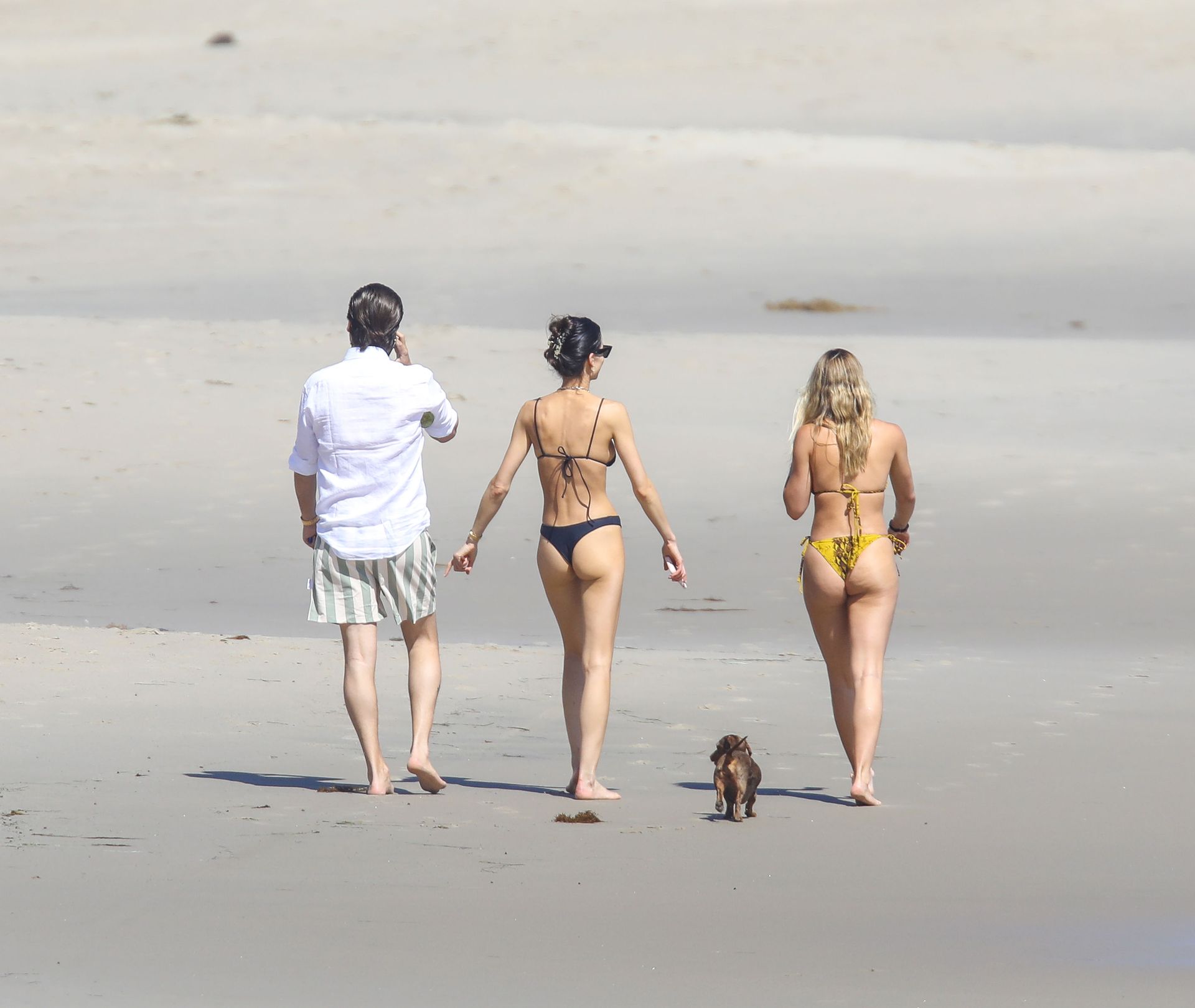 Sofia Richie Shows Off Her Sexy Body in a Bikini on the Beach in Malibu (99...