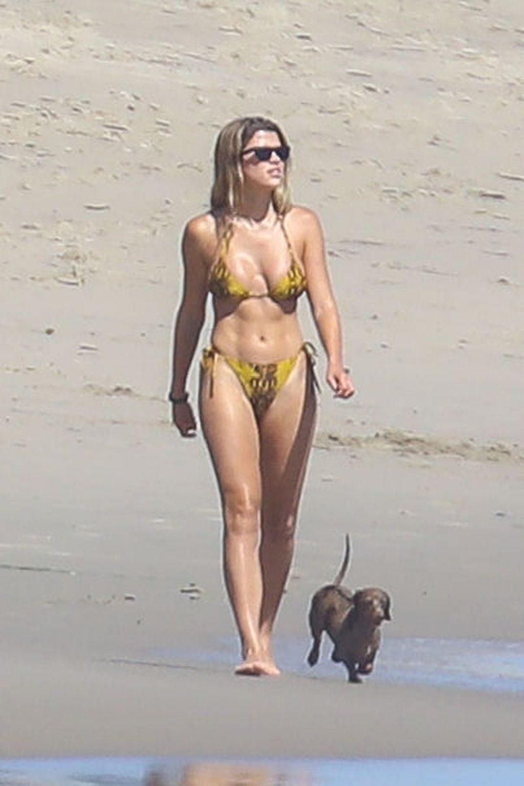 Sofia Richie Shows Off Her Sexy Body in a Bikini on the Beach in Malibu (99 Photos)