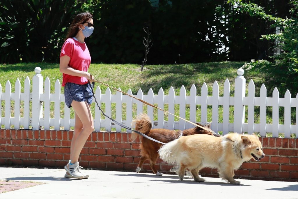 Aubrey Plaza Enjoys Some Fresh Air While Taking Her Dogs For a Walk (19 Photos)