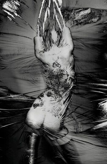 Catherine McNeil / catmcneil Nude Leaks Photo 103