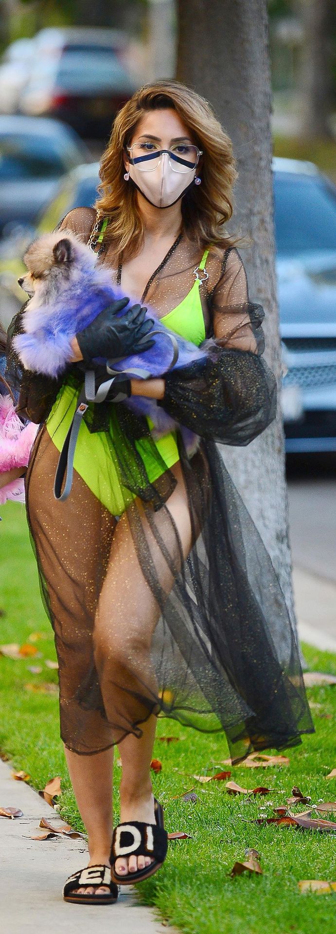 Farrah Abraham Reveals All in a Skimpy Bikini and Tutu (24 Photos)