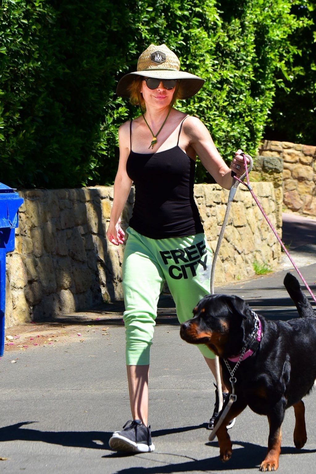 Braless Lisa Rinna Has a Hard Time Holding Her Dogs While Out During a Walk in Hollywood (23 Photos)