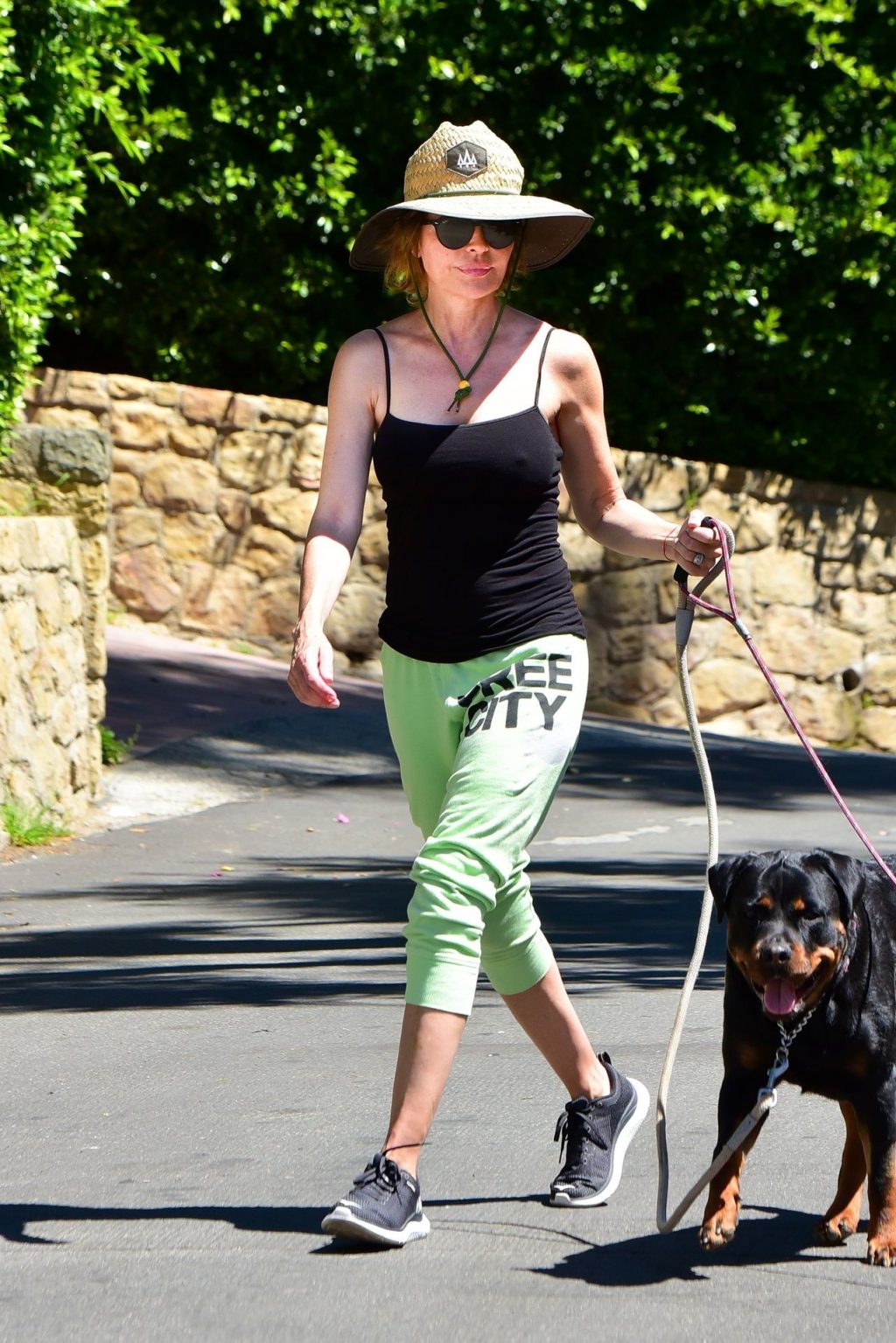 Braless Lisa Rinna Has a Hard Time Holding Her Dogs While Out During a Walk in Hollywood (23 Photos)