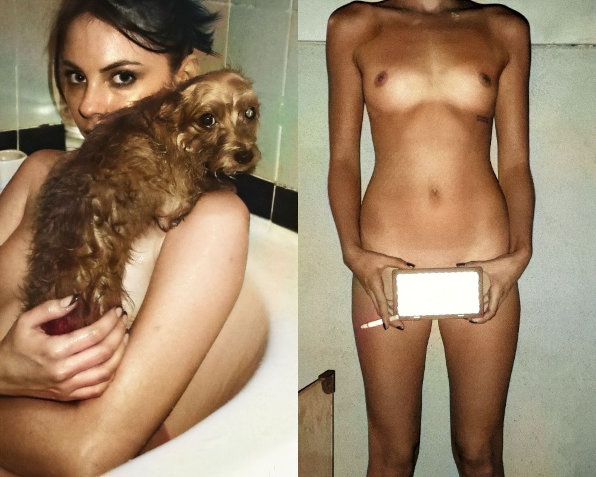 Willa holland topless