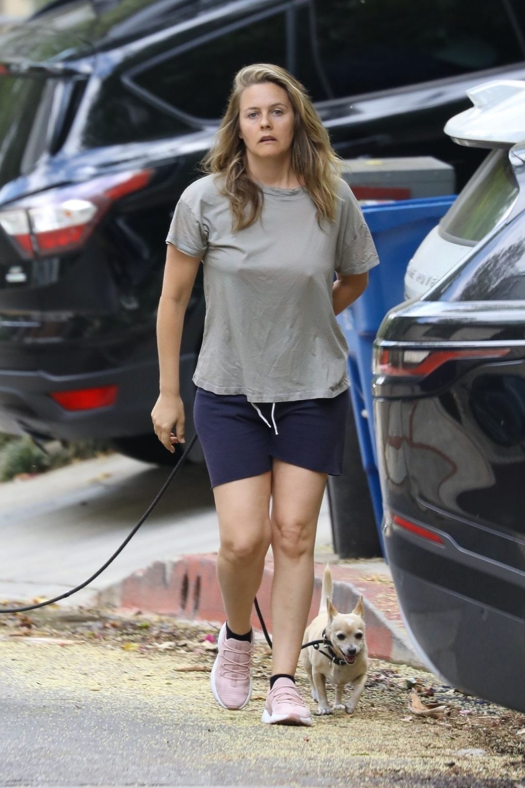Alicia Silverstone Goes Mask-Free While Walking Her Dogs (20 Photos)