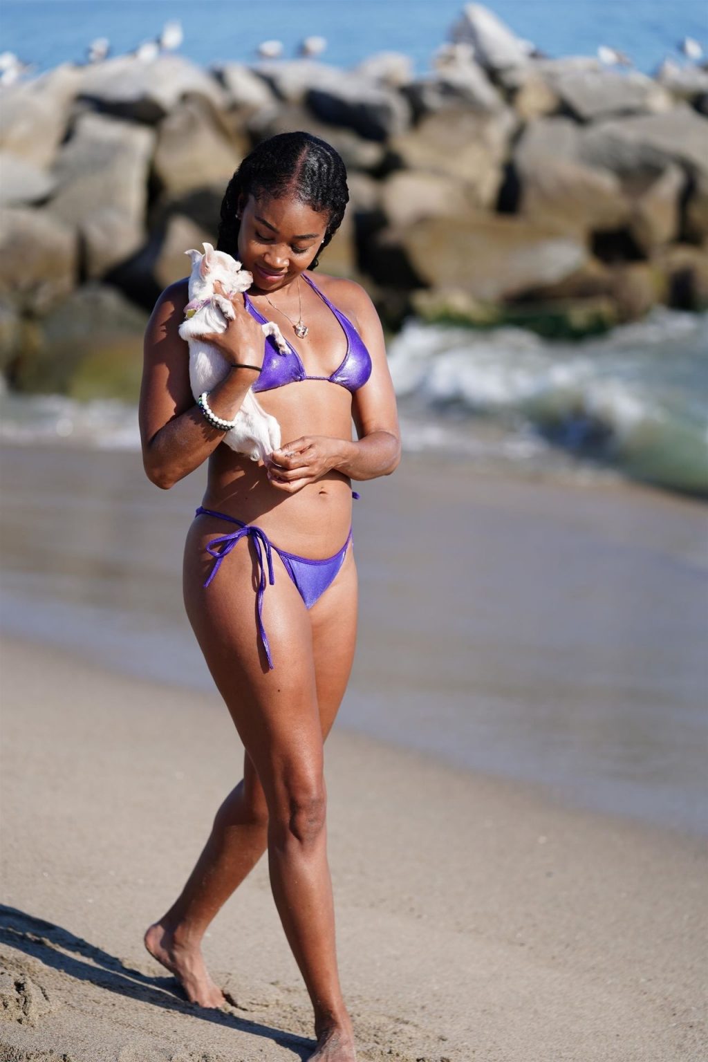 Ariane Andrew Takes Her Dog to the Beach in Santa Monica (78 Photos)