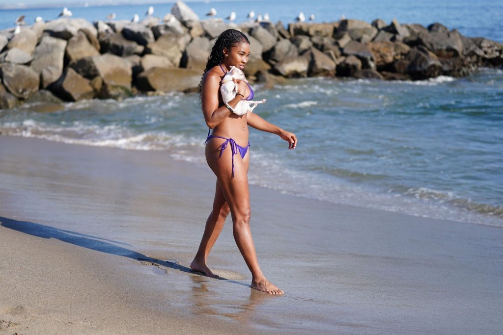 Ariane Andrew Takes Her Dog to the Beach in Santa Monica (78 Photos)