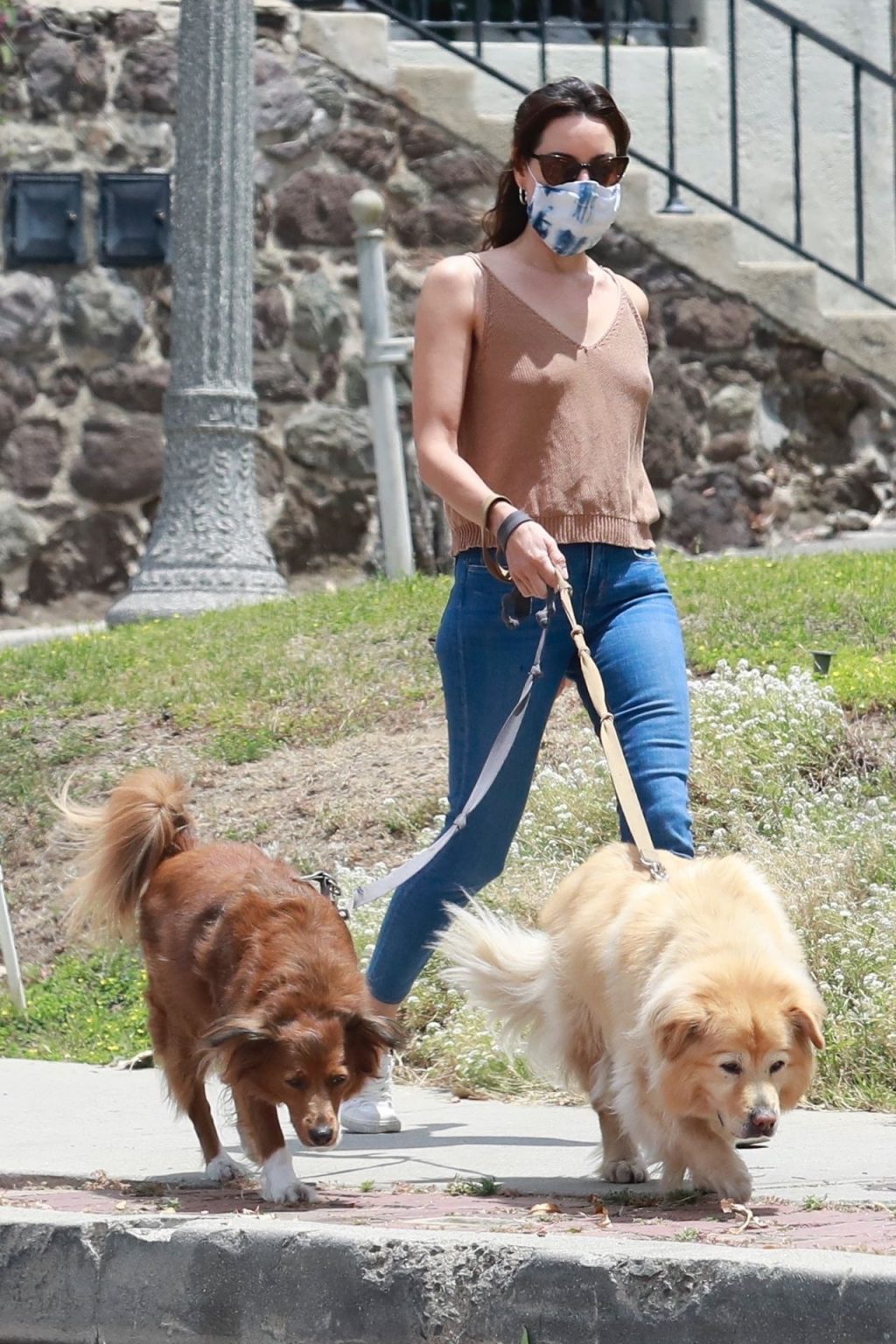 Braless Aubrey Plaza Takes Her Dogs For a Walk in Los Feliz (29 Photos)