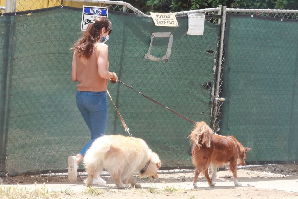 Braless Aubrey Plaza Takes Her Dogs For a Walk in Los Feliz (29 Photos)