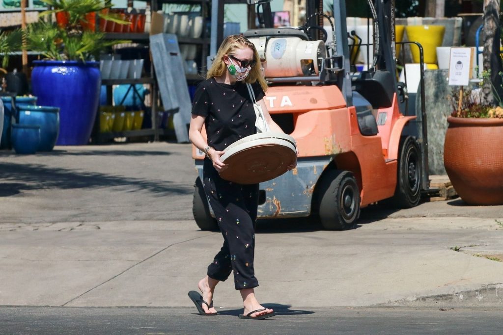 Dakota Fanning Carries Heavy Items to Her Car After Shopping in LA (26 Photos)