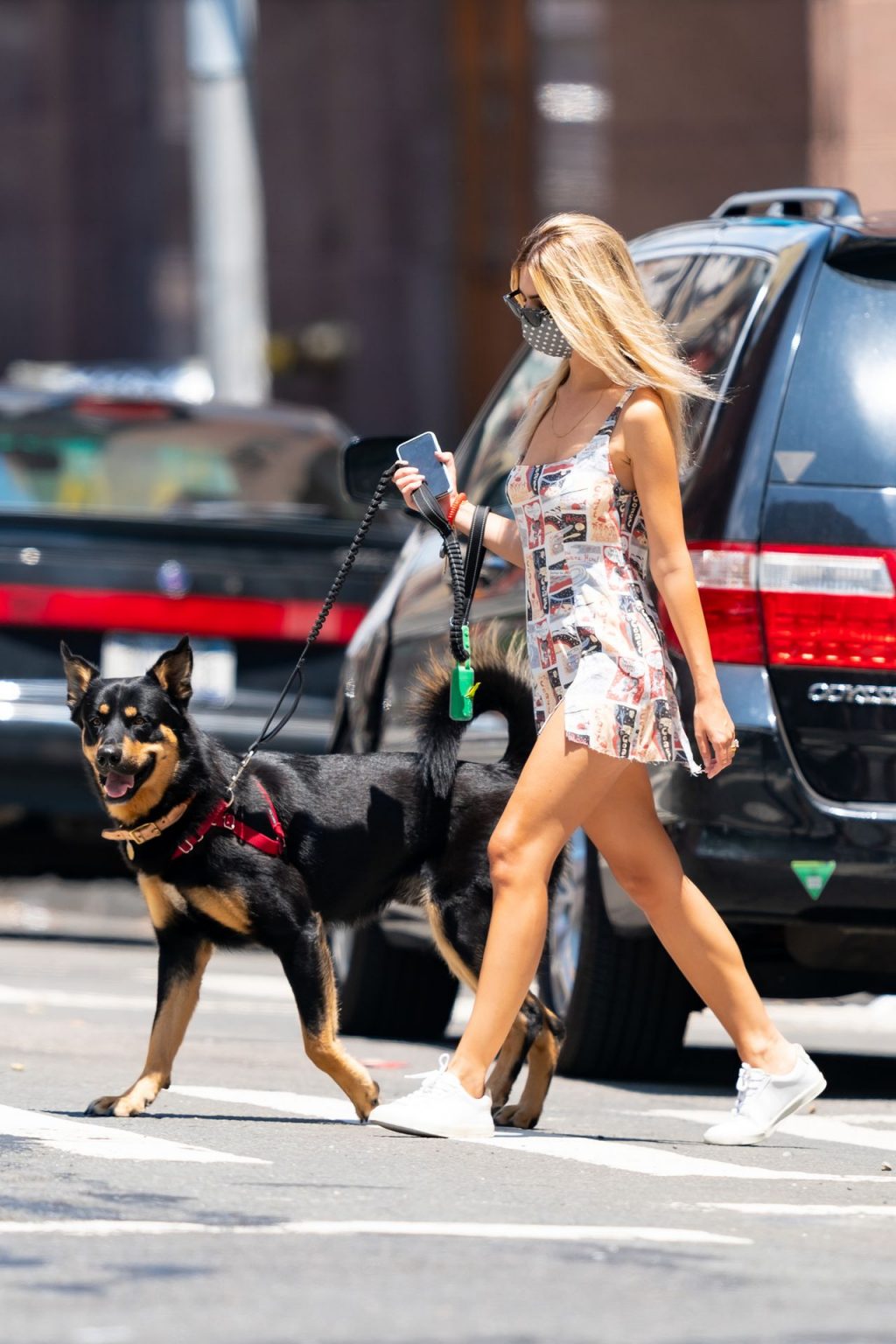 Emily Ratajkowski Steps Out For a Dog Walk in NYC (30 Photos)
