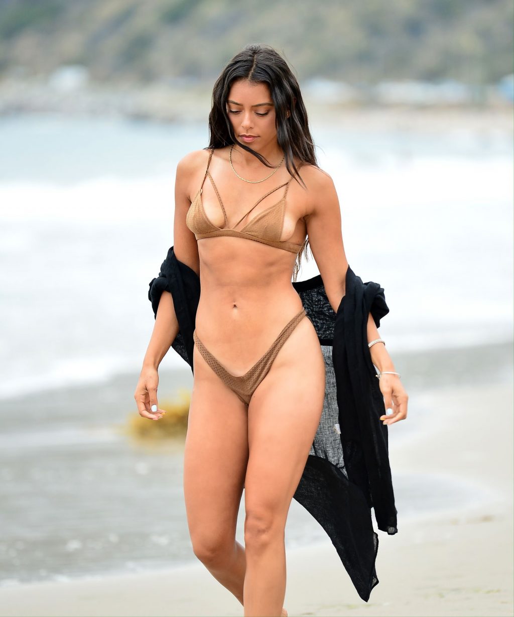 Michelle Hayden Steps Out in a Tiny Bikini on Malibu Beach (13 Photos)