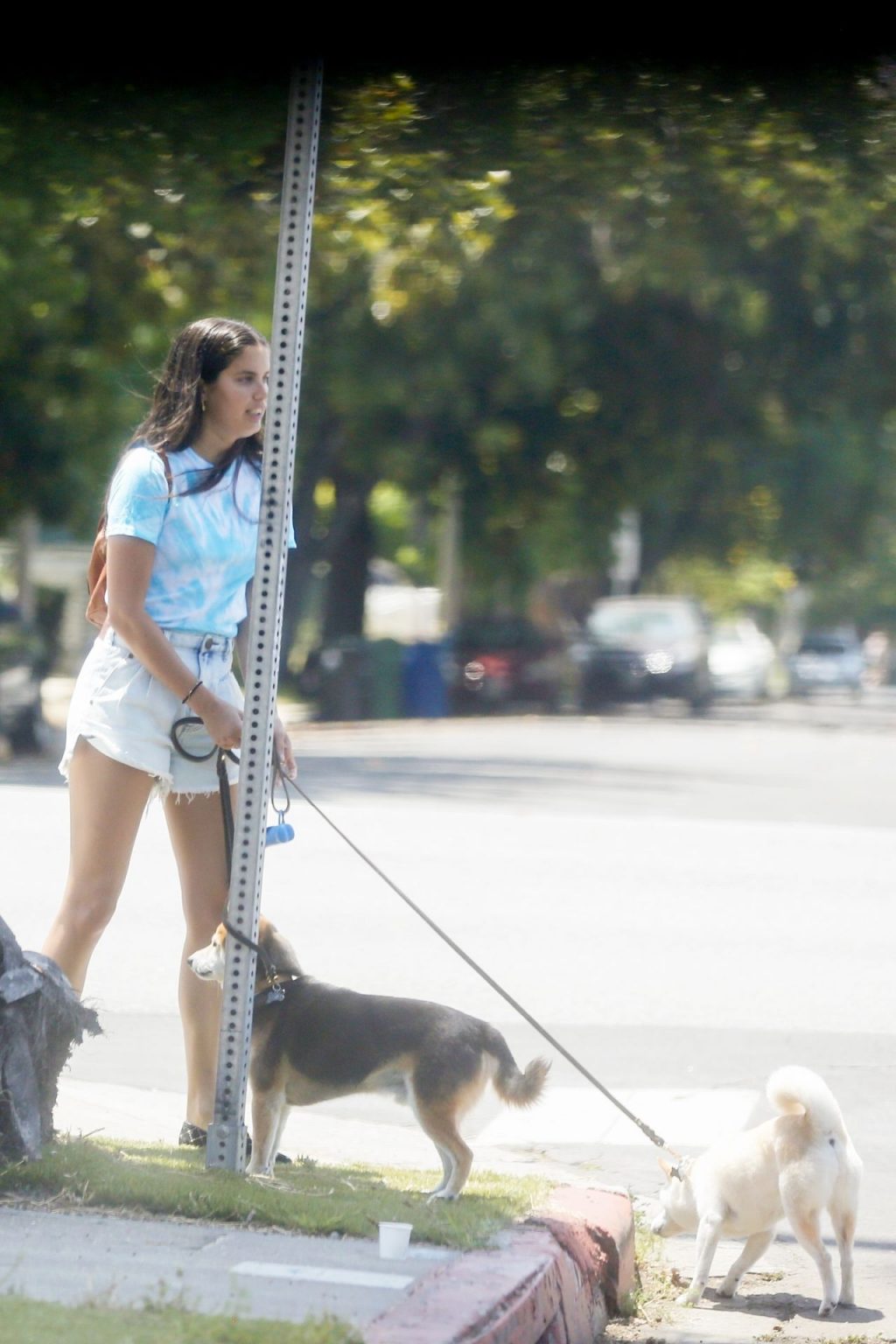 Sara Sampaio Takes Her Dogs for a Walk Before a Grooming Appointment (37 Photos)