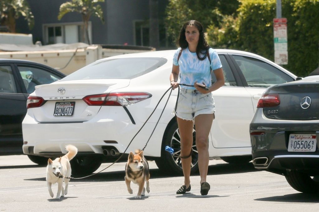 Sara Sampaio Takes Her Dogs for a Walk Before a Grooming Appointment (37 Photos)
