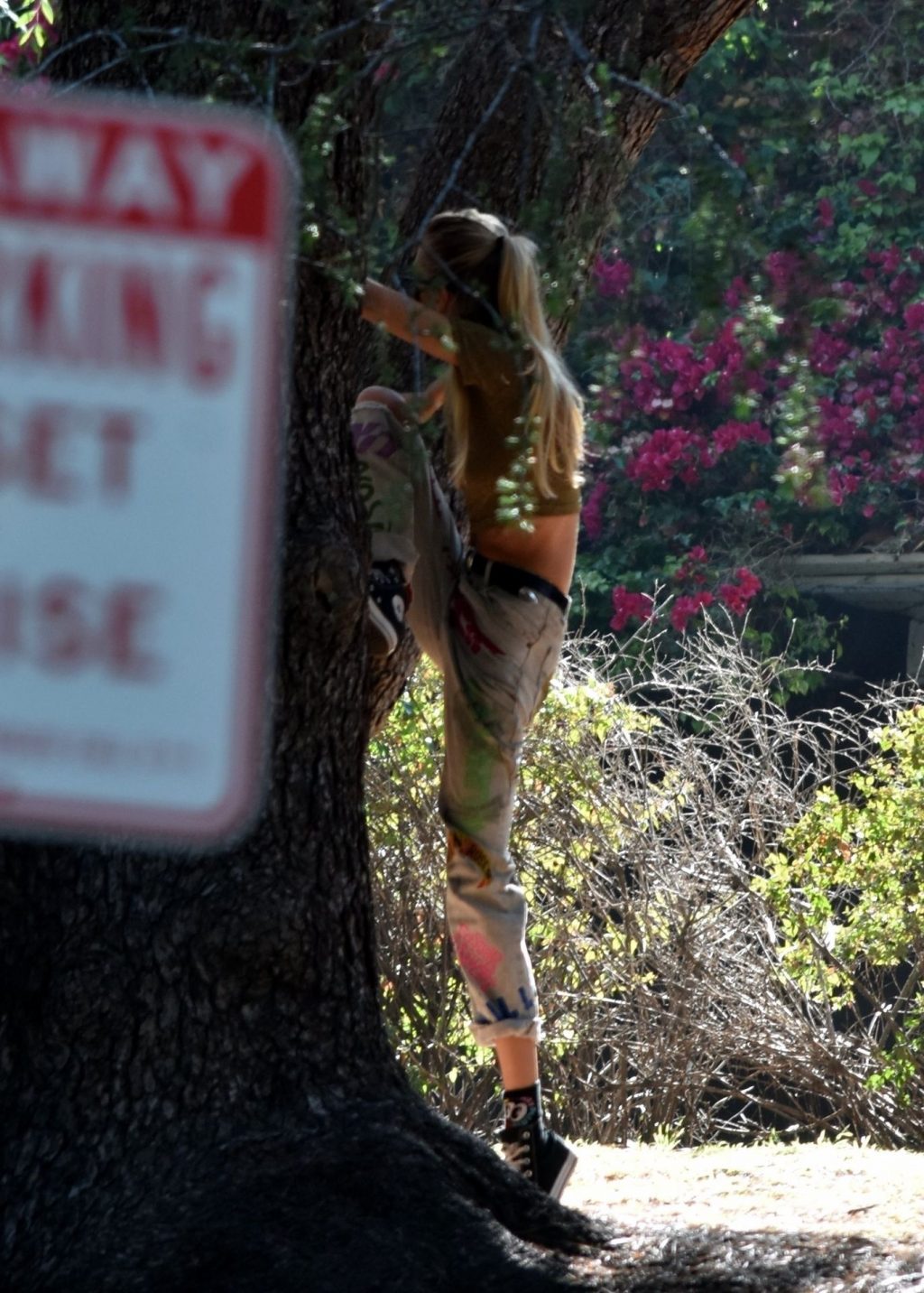 Braless Stella Maxwell Poses on a Tree (36 Photos)