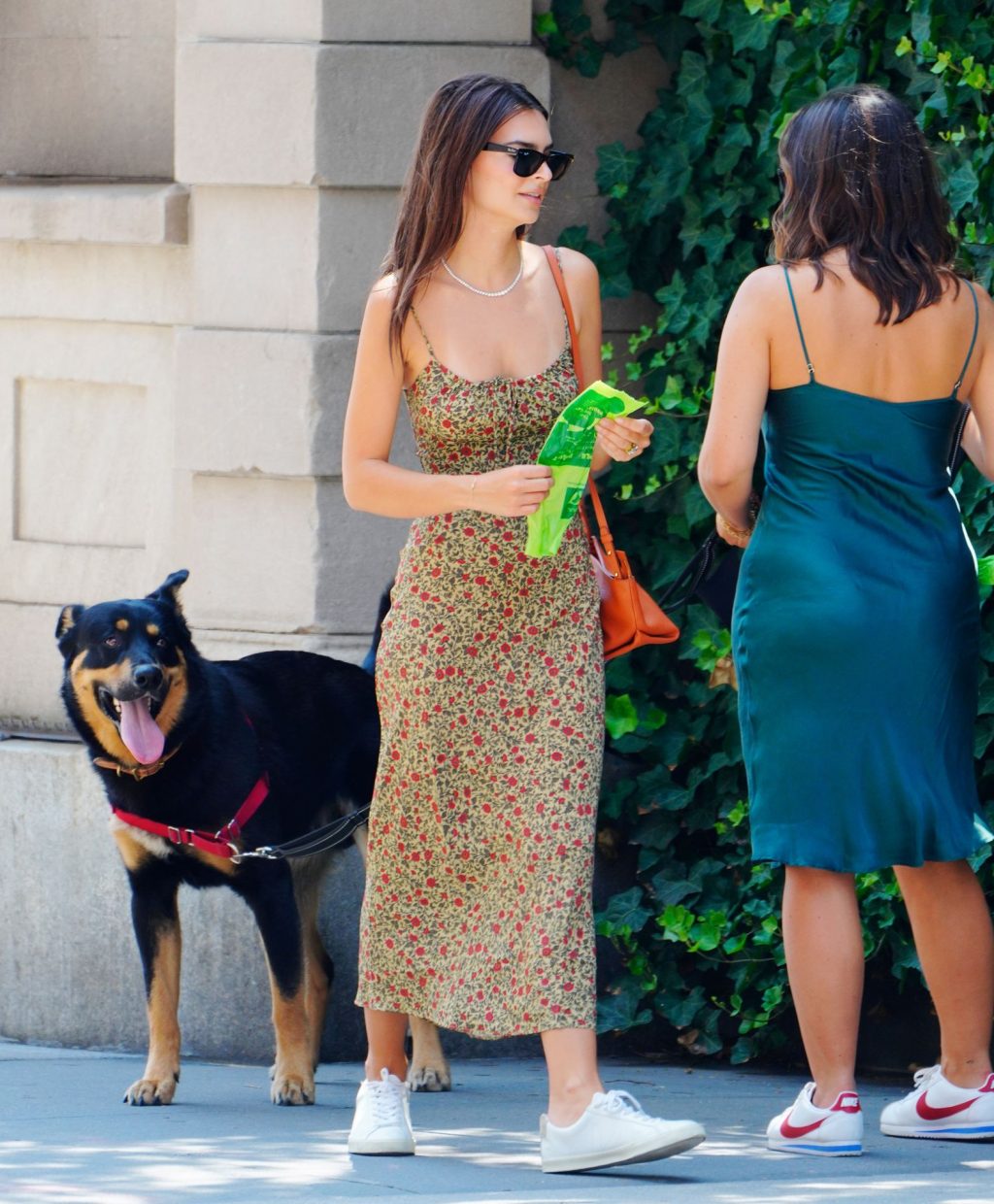 Emily Ratajkowski Walks with her Dog in NYC (45 Photos)
