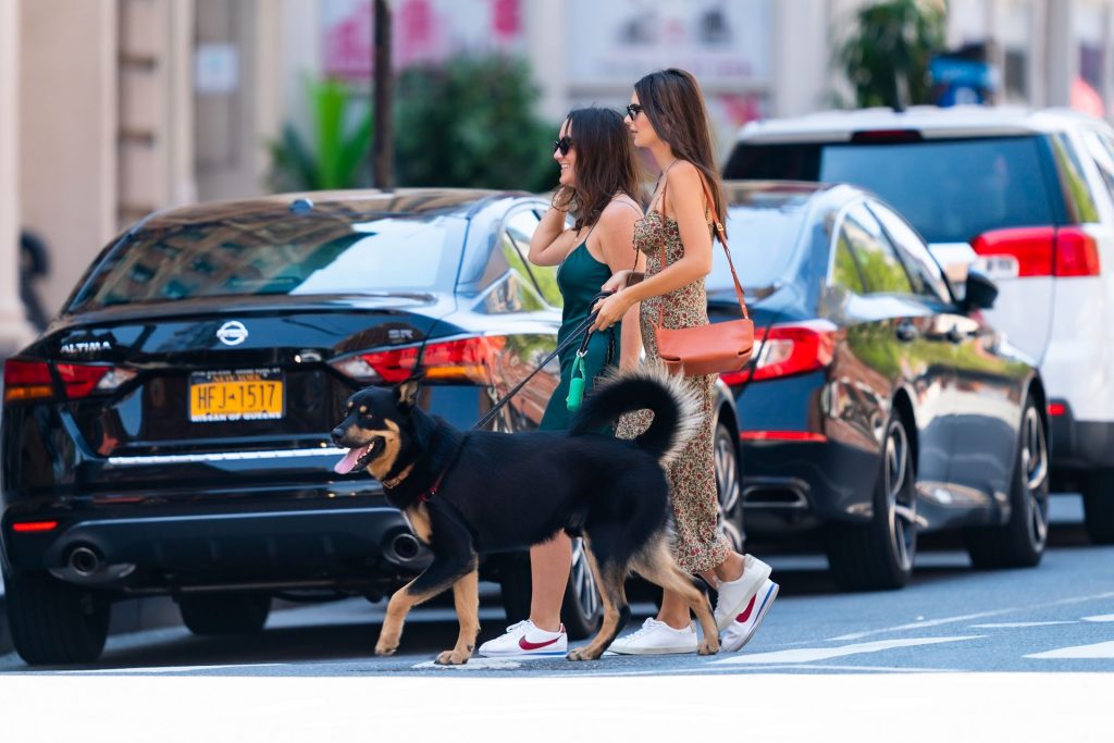 Emily Ratajkowski Walks with her Dog in NYC (45 Photos)