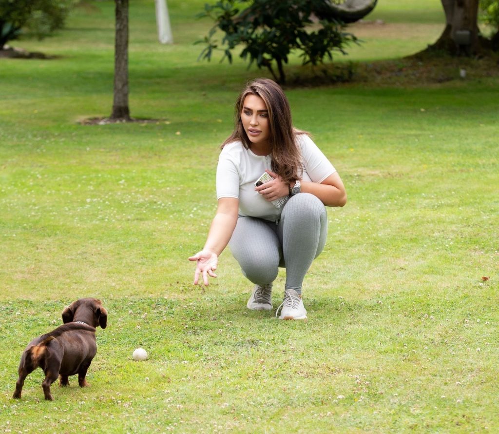 Curvy Lauren Goodger Is Seen Playing with a Dog in a Park in Essex (17 Photos)