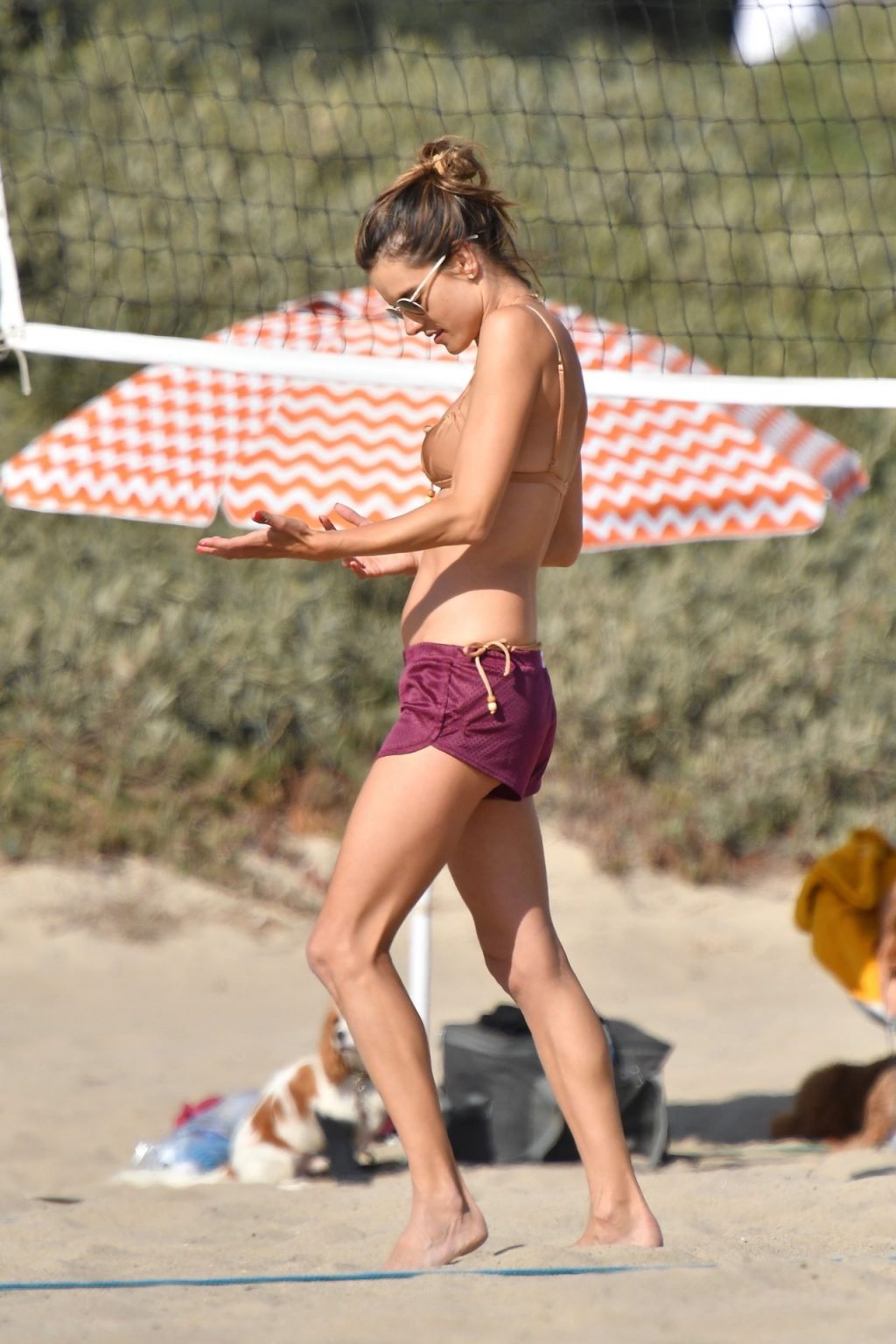 Sexy Alessandra Ambrosio Plays Volleyball with Friends in Santa Monica (99 Photos)