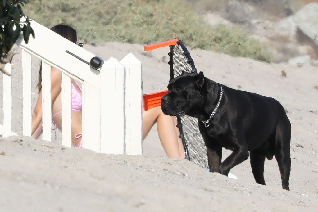 Devin Booker &amp; Kendall Jenner Enjoy a Flirty Day on the Beach (31 Photos)