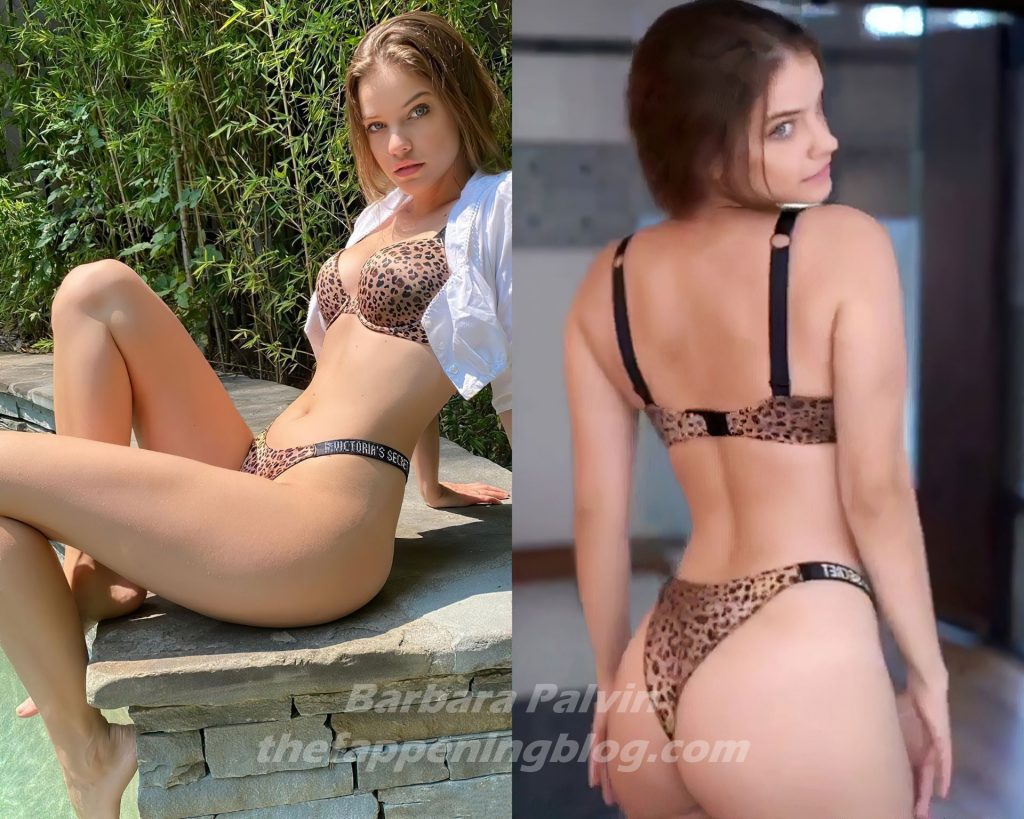 Barbara Palvin Shows Off Her Sexy Body in Lingerie (15 Photos + GIF &amp; Video)